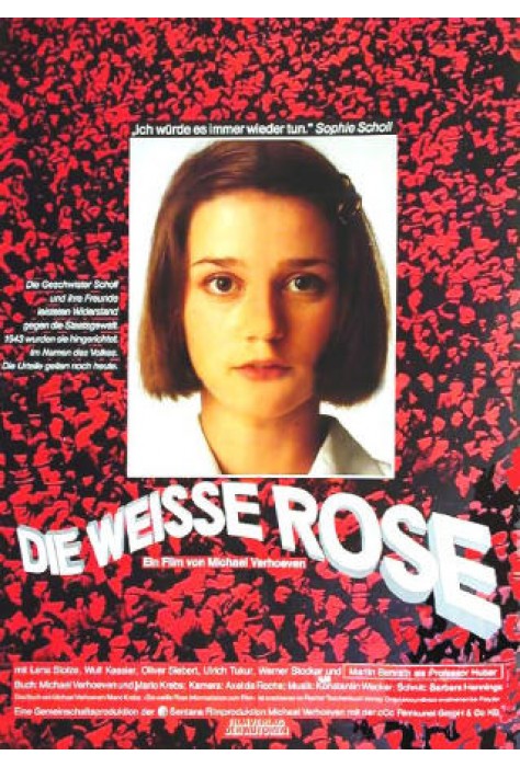 Weiße Rose